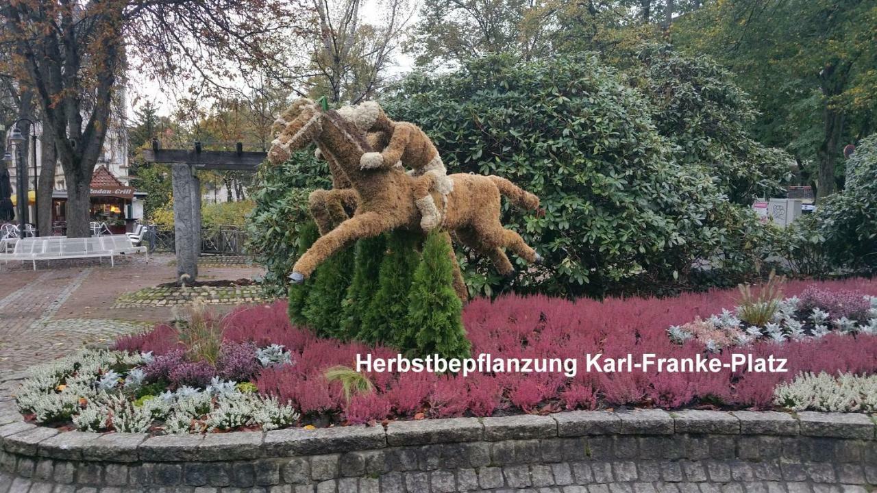 FeWo Parkblick Bad Harzburg Zewnętrze zdjęcie