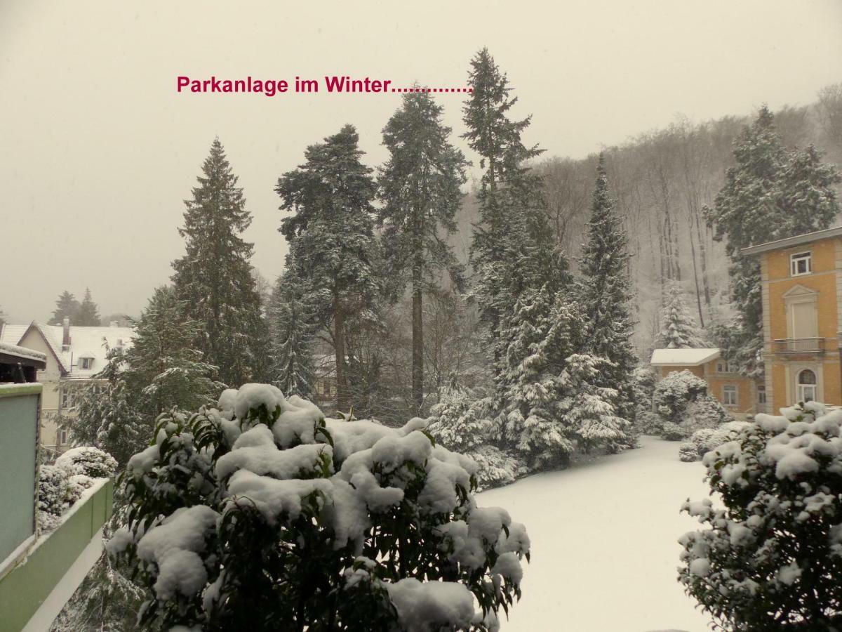 FeWo Parkblick Bad Harzburg Zewnętrze zdjęcie